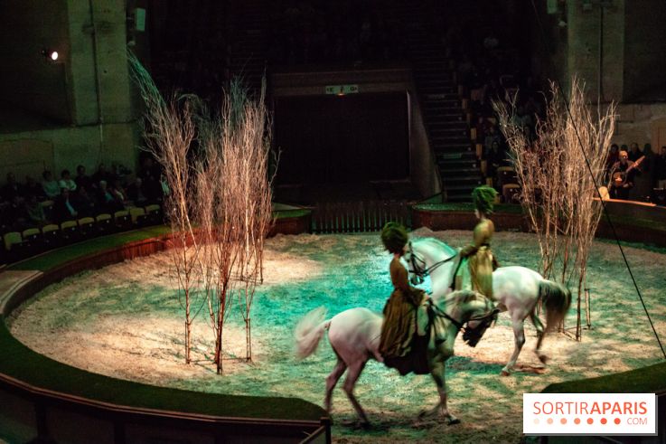 Nature, le spectacle équestre à Chantilly