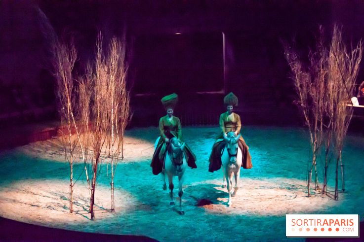 Nature, le spectacle équestre à Chantilly