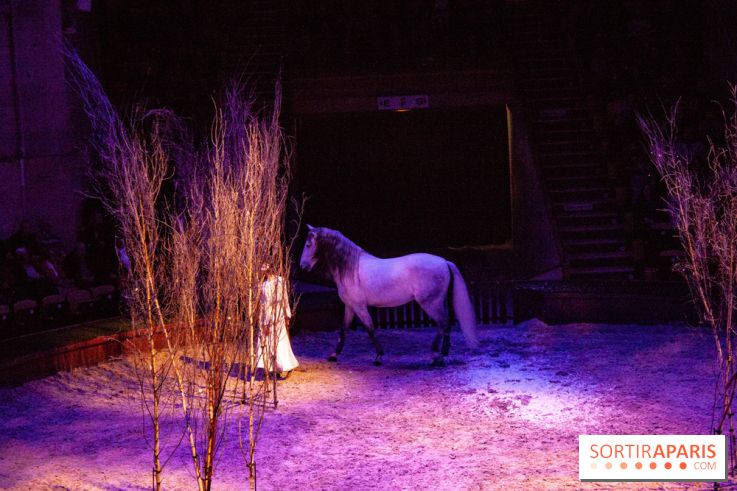 Nature, le spectacle équestre à Chantilly