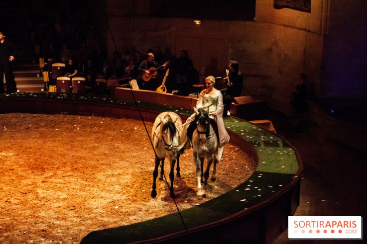 Nature, le spectacle équestre à Chantilly