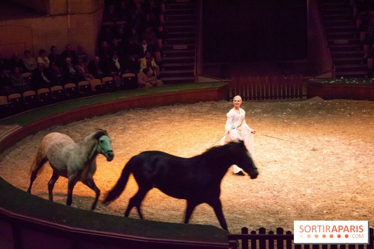 Nature, le spectacle équestre à Chantilly