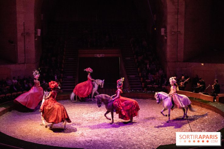 Nature, le spectacle équestre à Chantilly