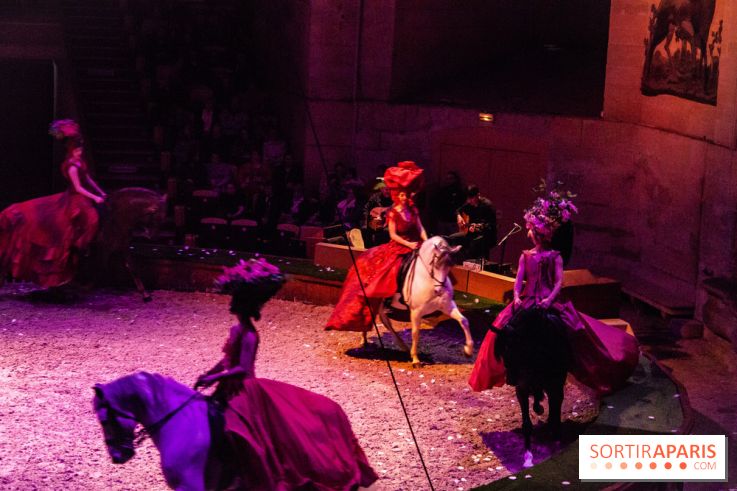 Nature, le spectacle équestre à Chantilly