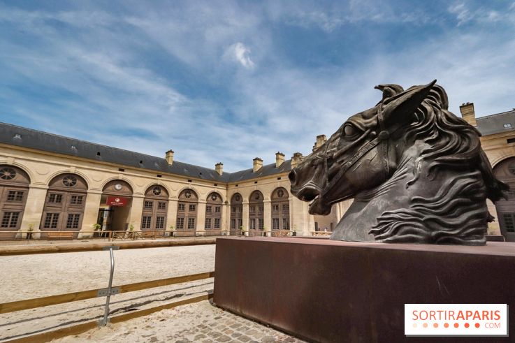 Nature, le spectacle équestre aux Grandes Ecuries du Domaine de Chantilly