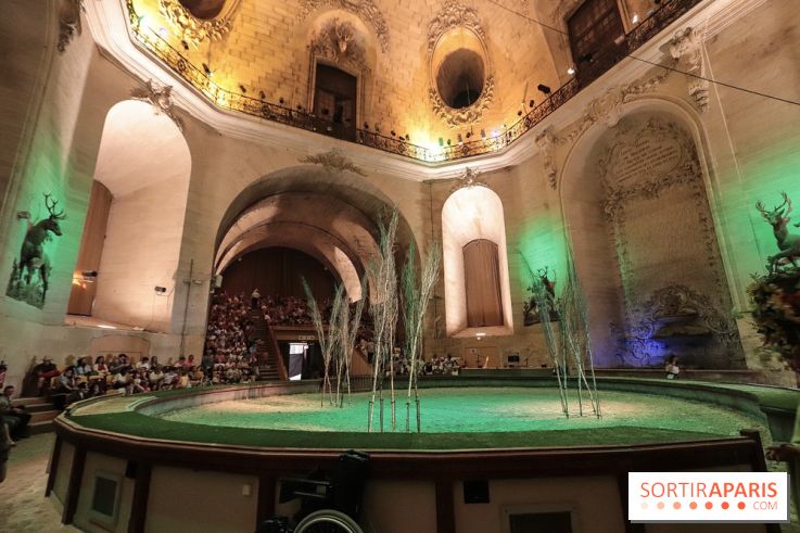 Nature, le spectacle équestre aux Grandes Ecuries du Domaine de Chantilly