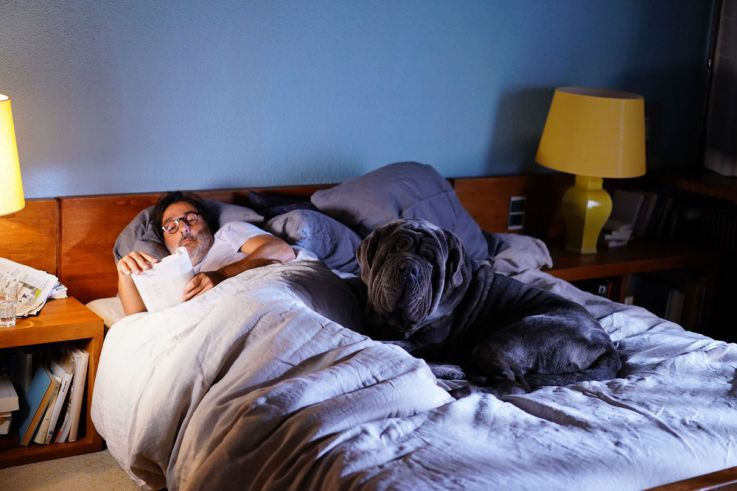 Yvan Attal dans Mon Chien Stupide