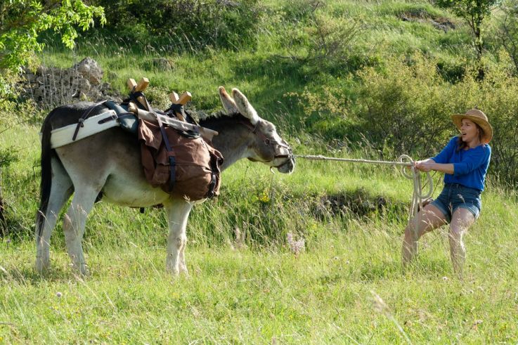Antoinette dans les Cévennes : l'affiche et les premières photos