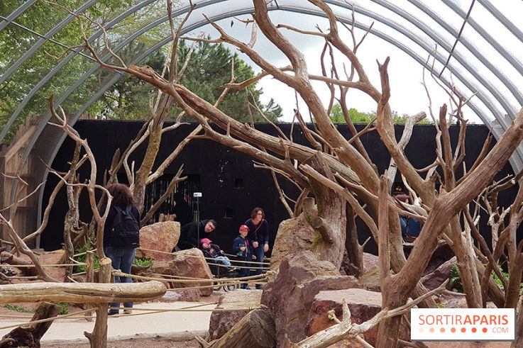 Zoo de Thoiry 2018 : les photos