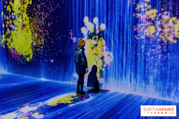 Teamlab : au delà des limites à la Villette, les photos