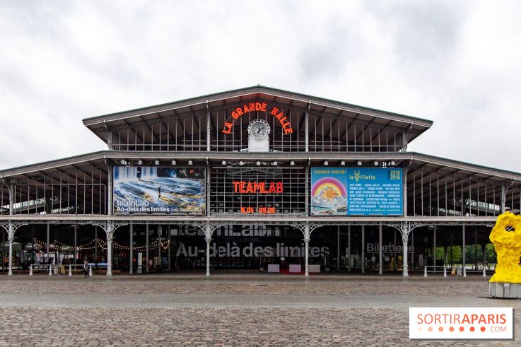 Teamlab : au delà des limites à la Villette, les photos