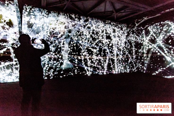 Teamlab : au delà des limites à la Villette, les photos