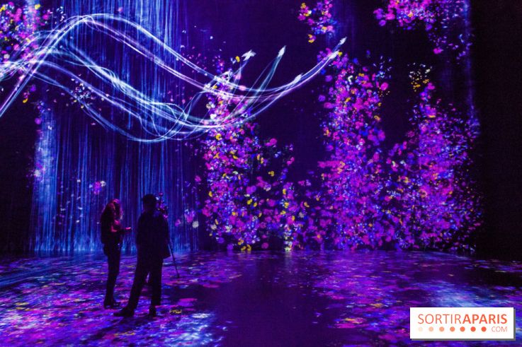 Teamlab : au delà des limites à la Villette, les photos