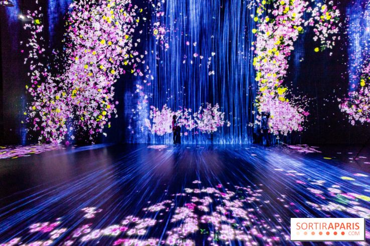 Teamlab : au delà des limites à la Villette, les photos
