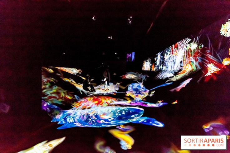 Teamlab : au delà des limites à la Villette, les photos