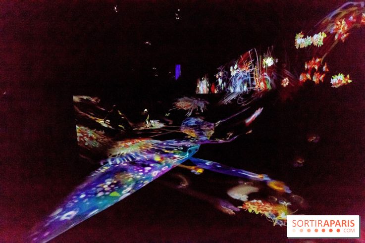 Teamlab : au delà des limites à la Villette, les photos