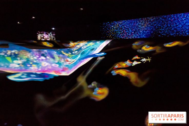 Teamlab : au delà des limites à la Villette, les photos
