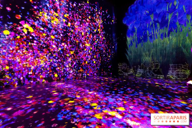 Teamlab : au delà des limites à la Villette, les photos