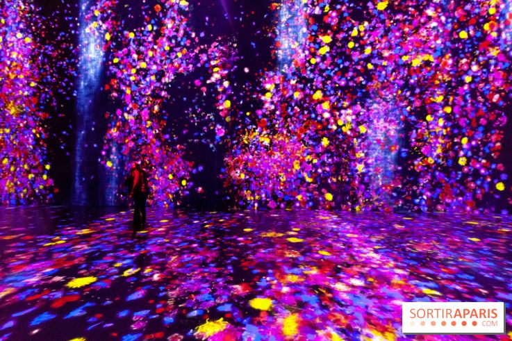 Teamlab : au delà des limites à la Villette, les photos