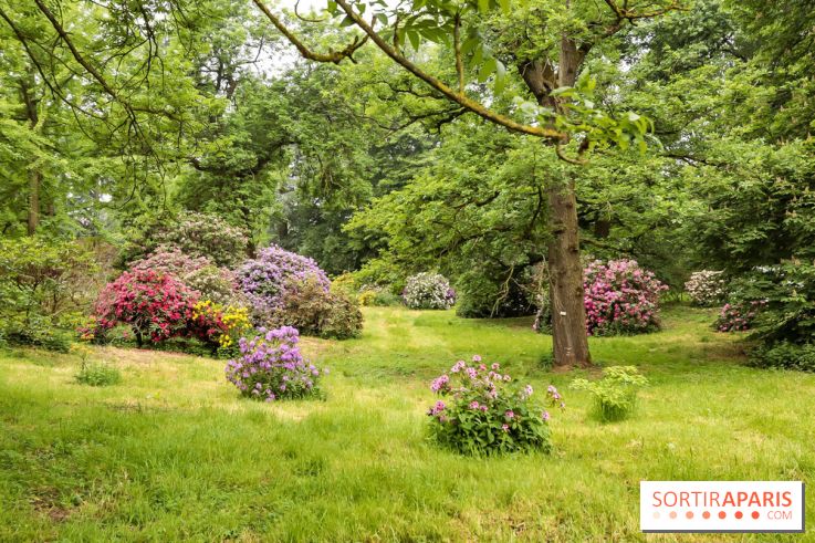 L'Arboretum de Versailles - Chevreloup