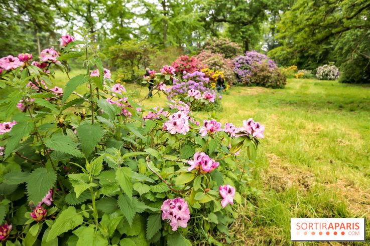 L'Arboretum de Versailles - Chevreloup