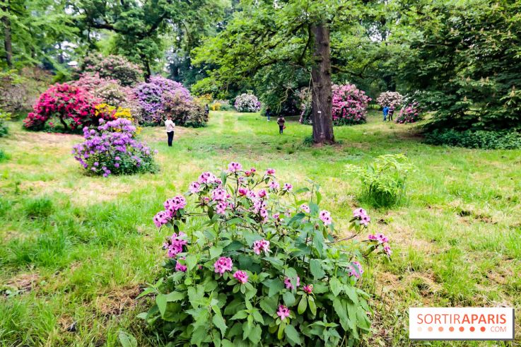 L'Arboretum de Versailles - Chevreloup