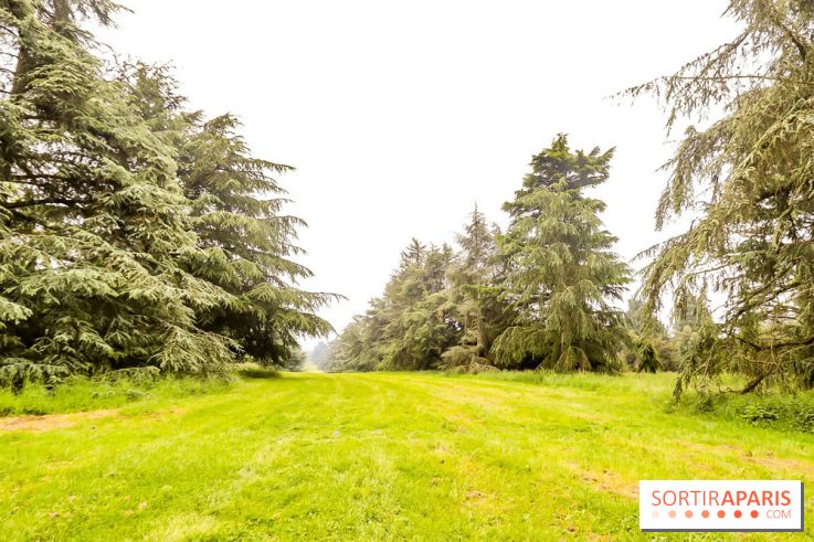 L'Arboretum de Versailles - Chevreloup
