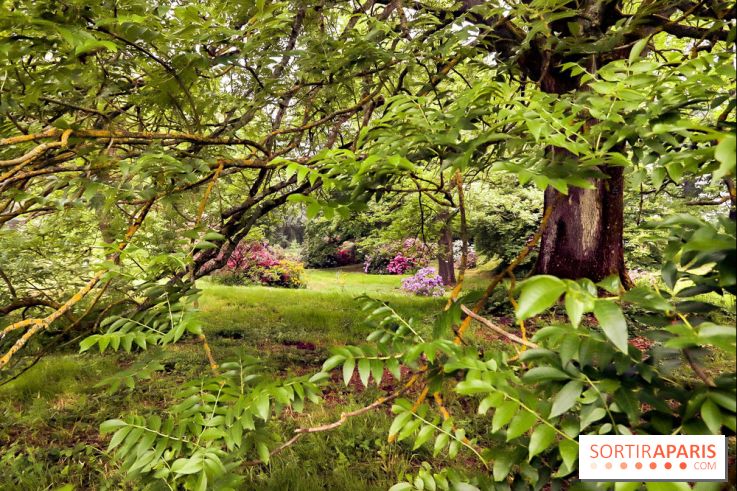 L'Arboretum de Versailles - Chevreloup