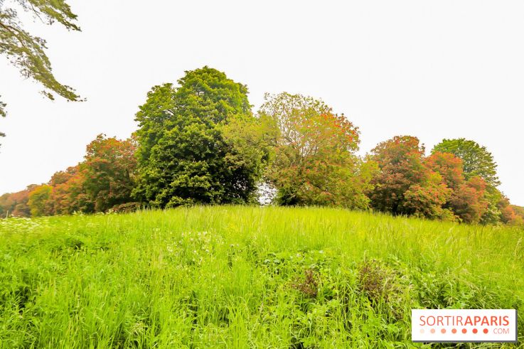 L'Arboretum de Versailles - Chevreloup