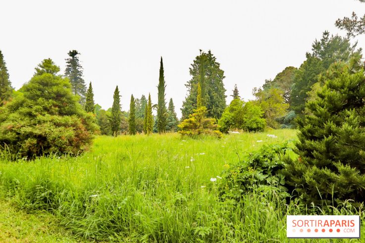 L'Arboretum de Versailles - Chevreloup