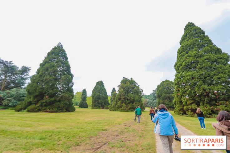 L'Arboretum de Versailles - Chevreloup