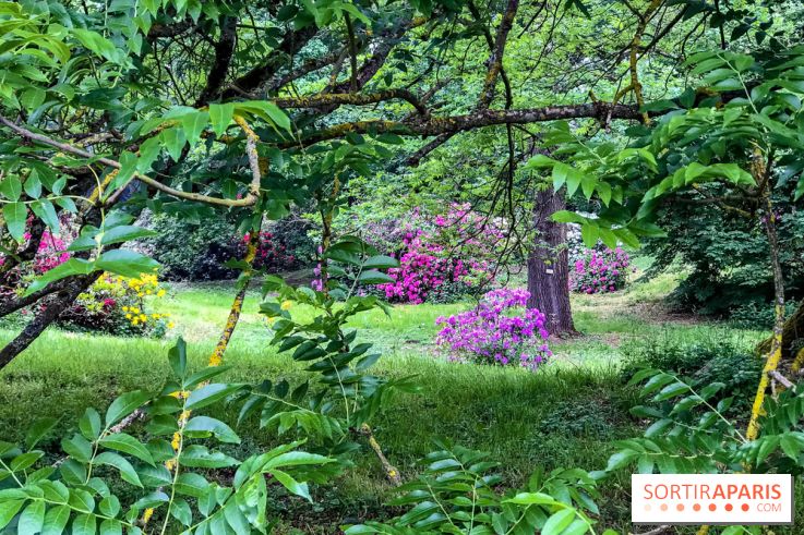 L'Arboretum de Versailles - Chevreloup