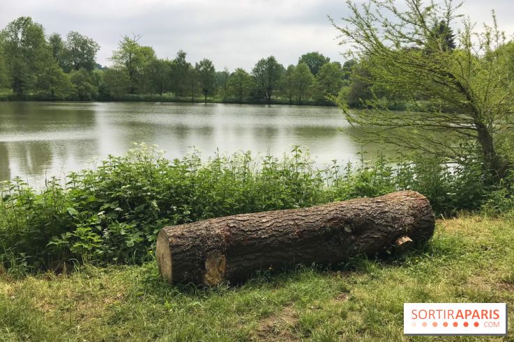 L'Arboretum de Versailles - Chevreloup