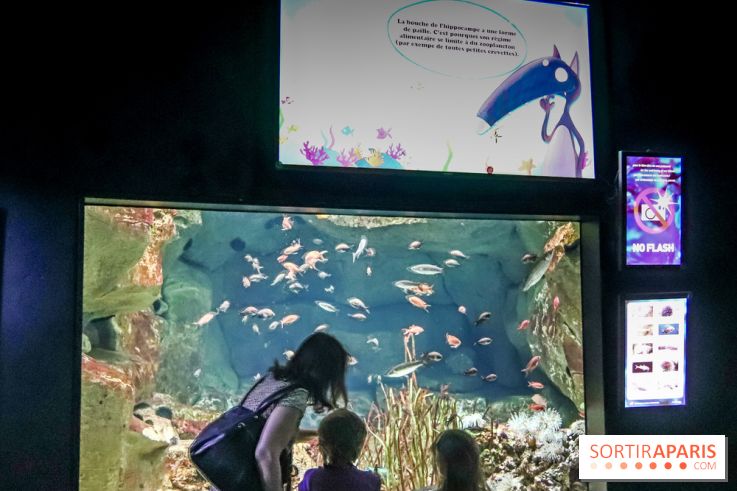 Loup préserve les océans à l'Aquarium de Paris, les photos