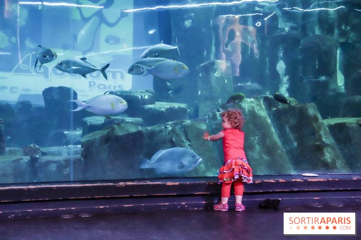Loup préserve les océans à l'Aquarium de Paris, les photos