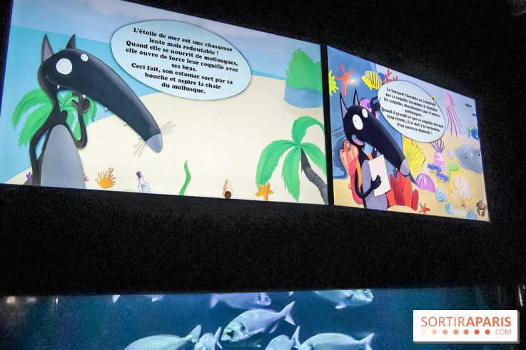 Loup préserve les océans à l'Aquarium de Paris, les photos