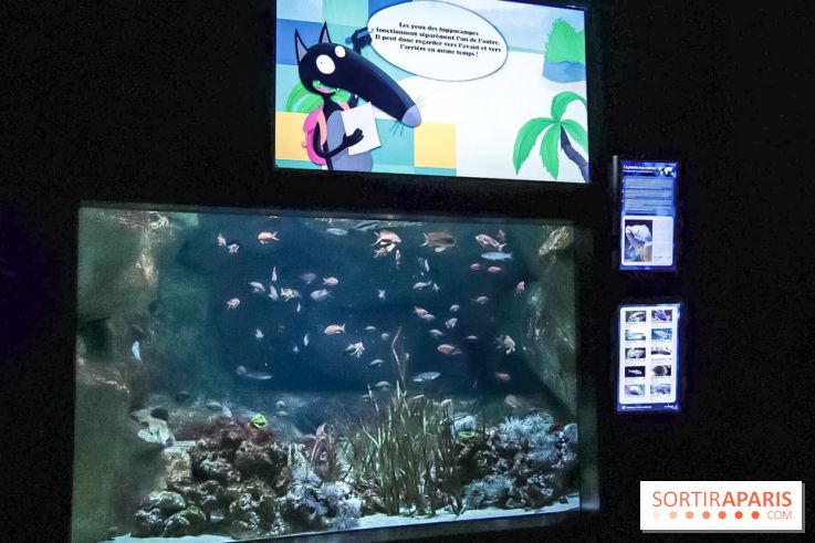 Loup préserve les océans à l'Aquarium de Paris, les photos