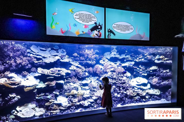 Loup préserve les océans à l'Aquarium de Paris, les photos