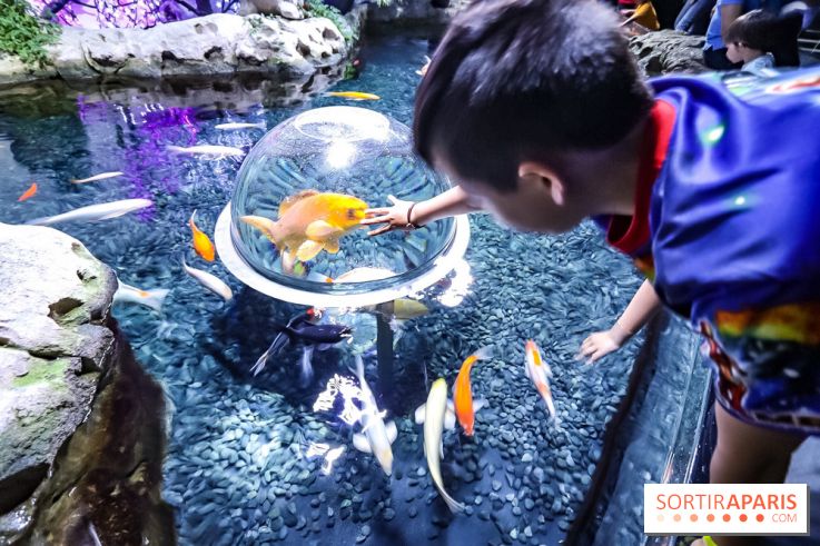 Loup préserve les océans à l'Aquarium de Paris, les photos