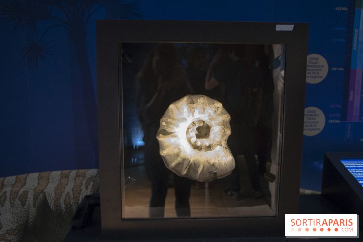 Un T-Rex à Paris : les photos