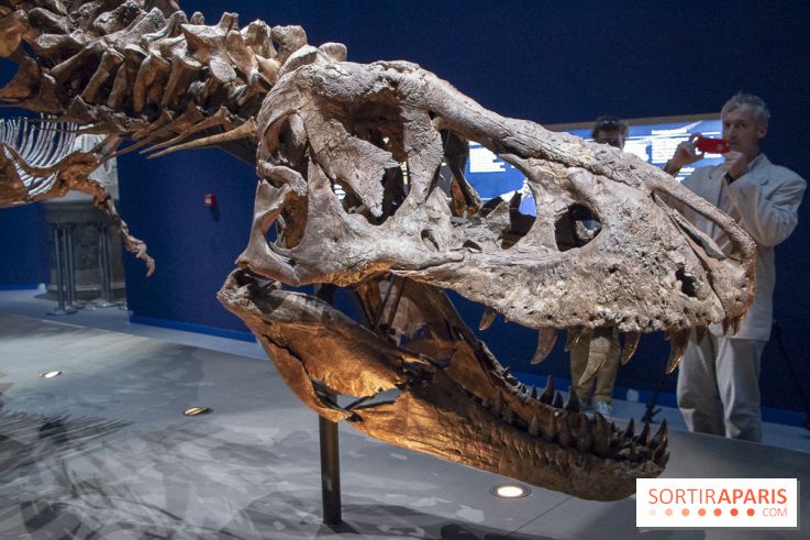 Un T-Rex à Paris : les photos