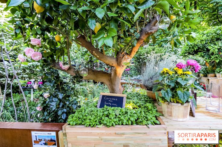 Jardins Jardin 2018, les photos