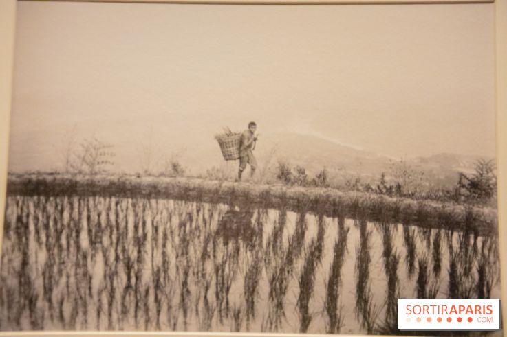 Terres de riz, l'exposition au musée Guimet