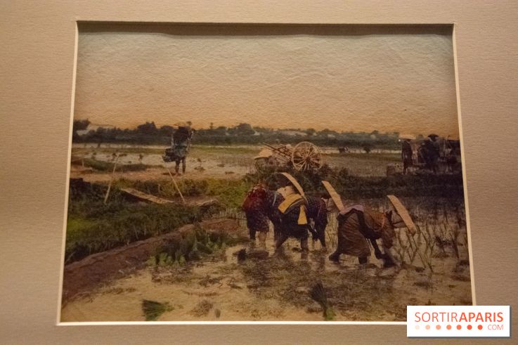 Terres de riz, l'exposition au musée Guimet