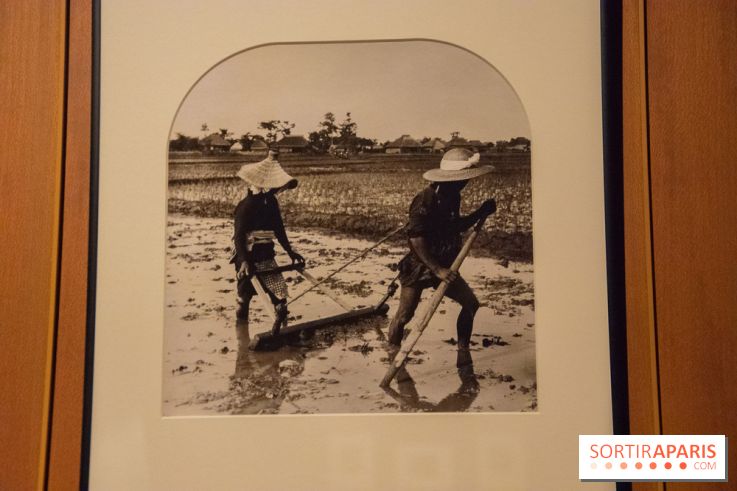 Terres de riz, l'exposition au musée Guimet