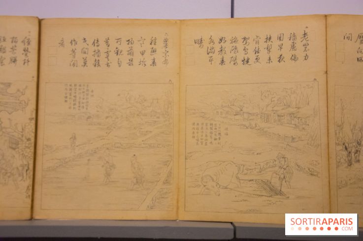 Terres de riz, l'exposition au musée Guimet