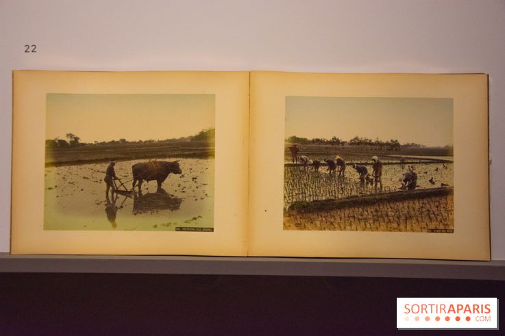 Terres de riz, l'exposition au musée Guimet