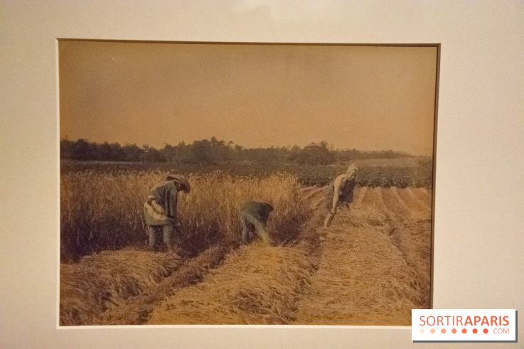 Terres de riz, l'exposition au musée Guimet