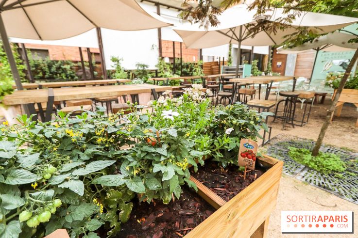 Les Belles Plantes restaurant-café