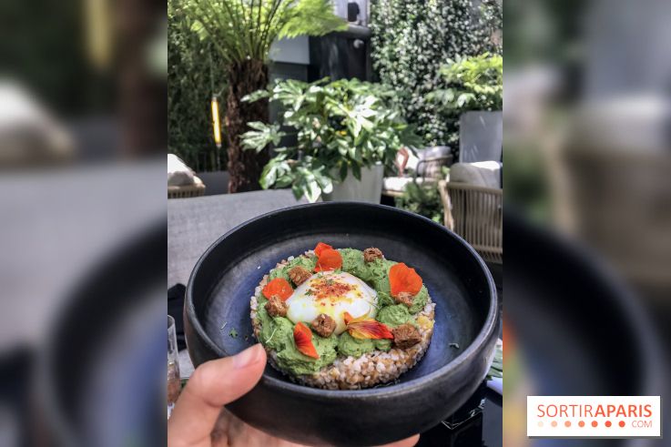 Le Collectionneur, restaurant-terrasse à Paris, les photos
