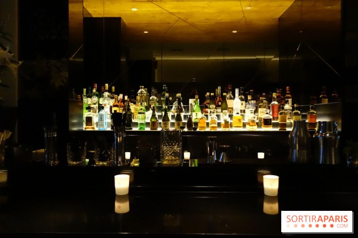 Bar du Kinugawa Vendôme à Paris